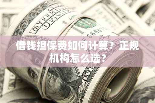济南借钱担保费如何计算？正规机构怎么选？