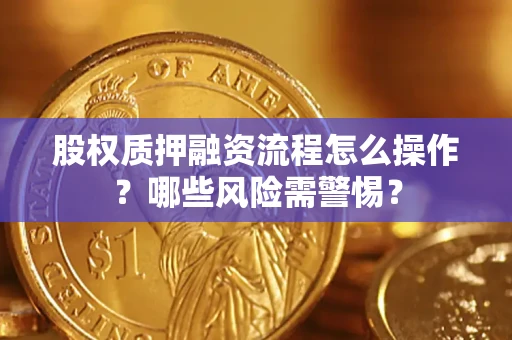 济南股权质押融资流程怎么操作？哪些风险需警惕？