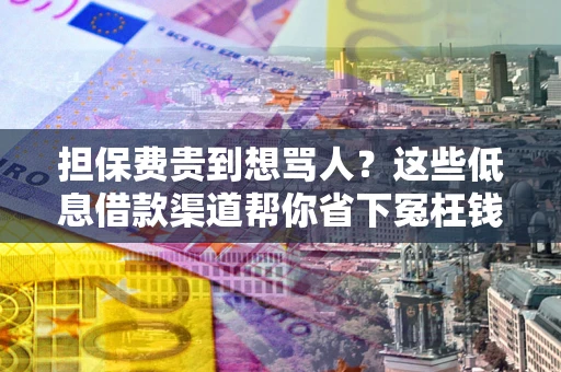 济南担保费贵到想骂人？这些低息借款渠道帮你省下冤枉钱