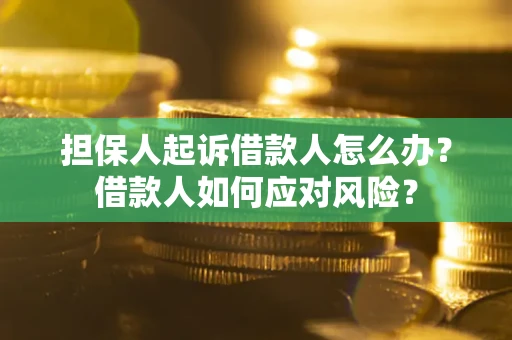 济南担保人起诉借款人怎么办？借款人如何应对风险？