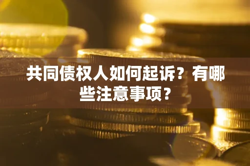 济南共同债权人如何起诉？有哪些注意事项？